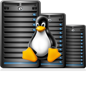 linux server